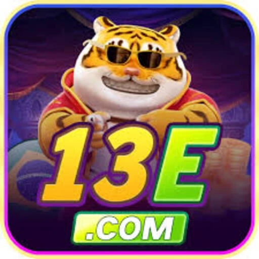 13e Logo